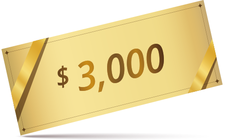 3000